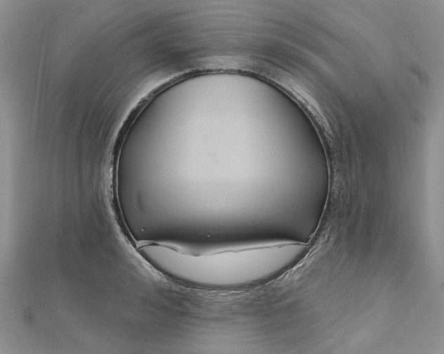 X0000112800992200909041429