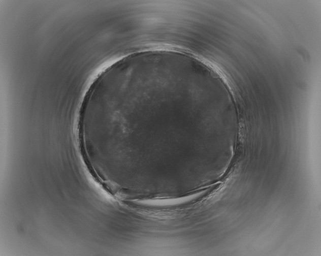 X0000112800995200909041429