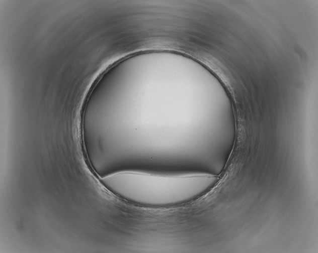 X0000112800996200909041429