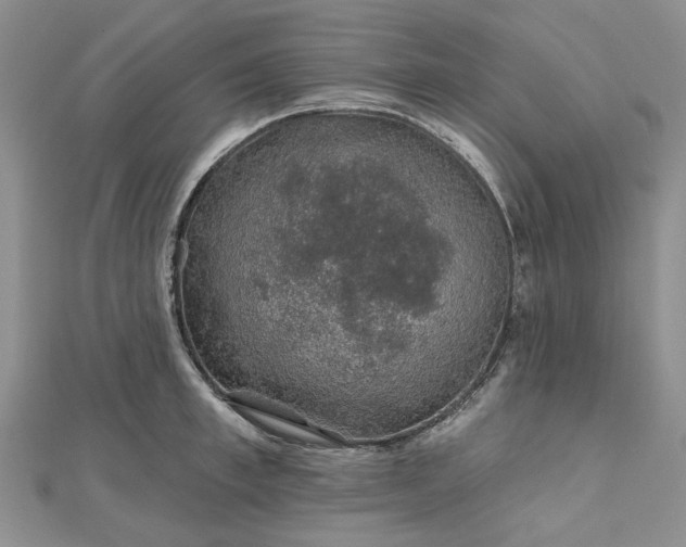 X0000112800997200909041429