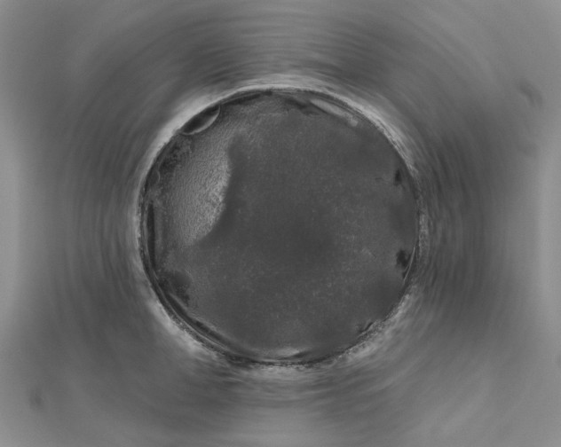X0000112800998200909041429