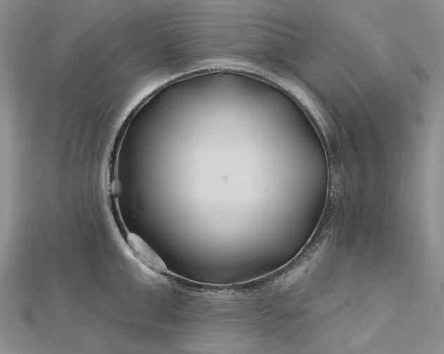 X0000112800999200909041429
