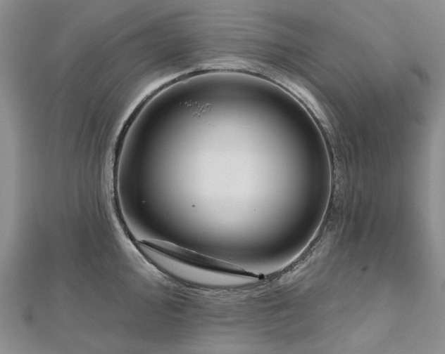 X0000112801000200909041429