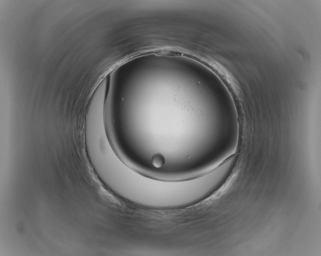 X0000112801001200909041429