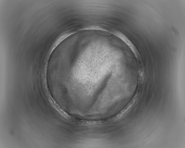 X0000112801002200909041429