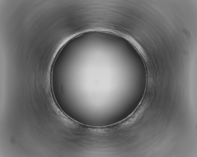 X0000112801004200909041429