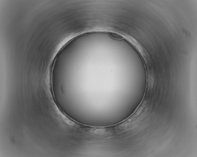 X0000112801006200909041429