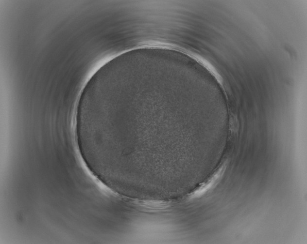 X0000112801007200909041429