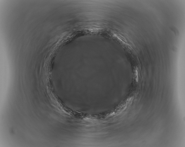 X0000112801009200909041428