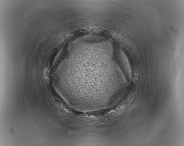 X0000112801010200909041428