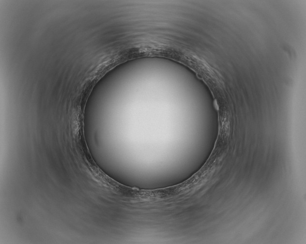 X0000112801012200909041428