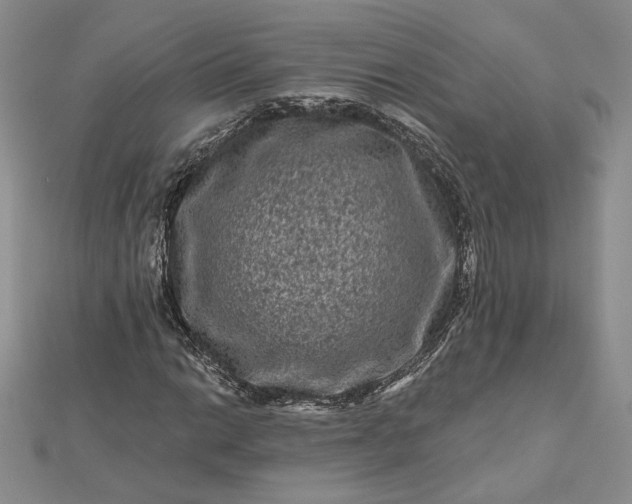 X0000112801014200909041428