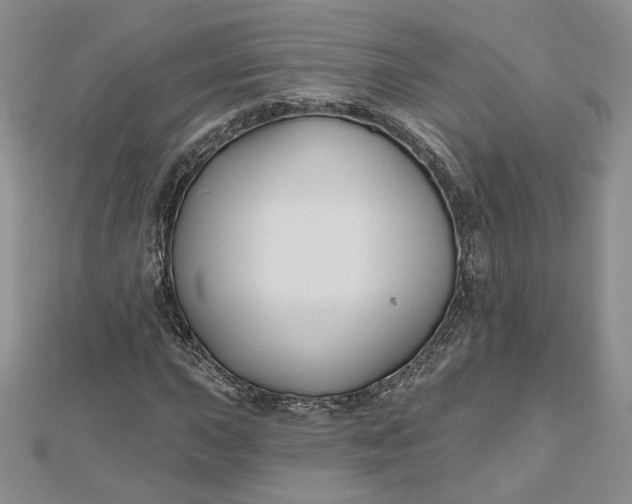 X0000112801015200909041428
