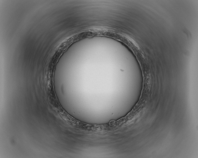 X0000112801016200909041428