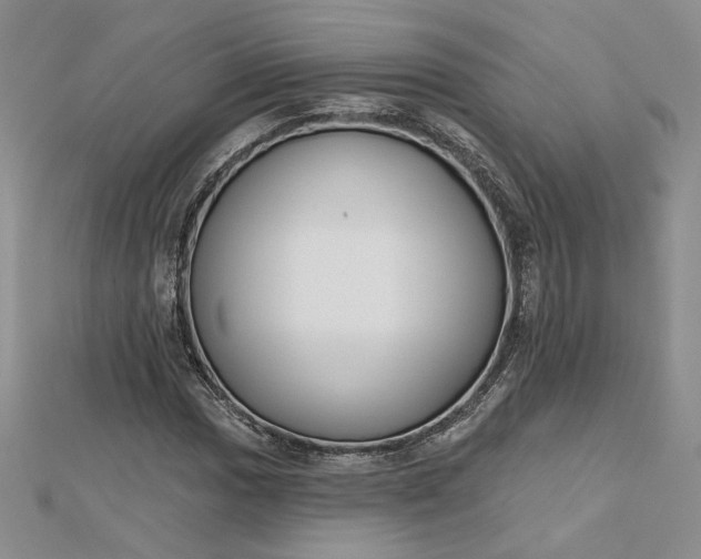 X0000112801017200909041428