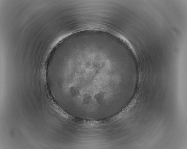 X0000112801019200909041428