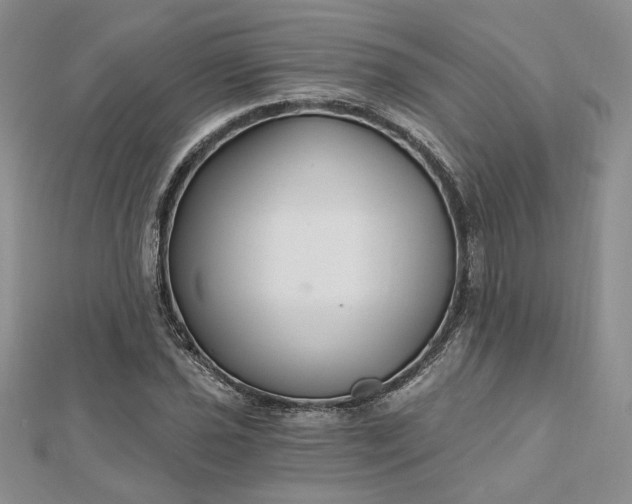 X0000112801021200909041428