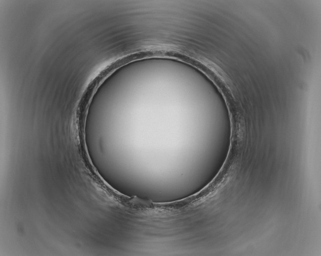 X0000112801022200909041428