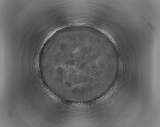 X0000112801023200909041428