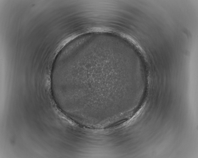 X0000112801025200909041428