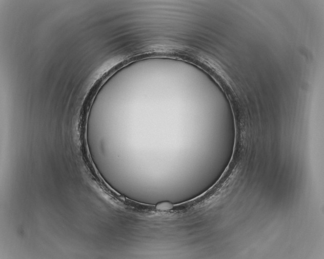 X0000112801026200909041428