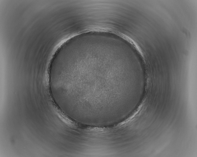 X0000112801027200909041428