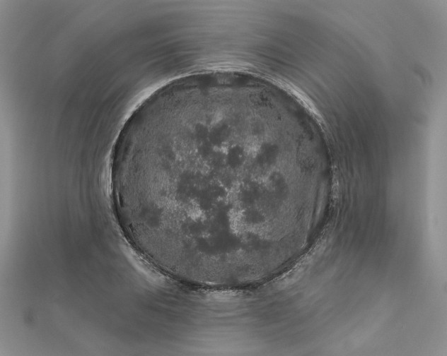 X0000112801031200909041428