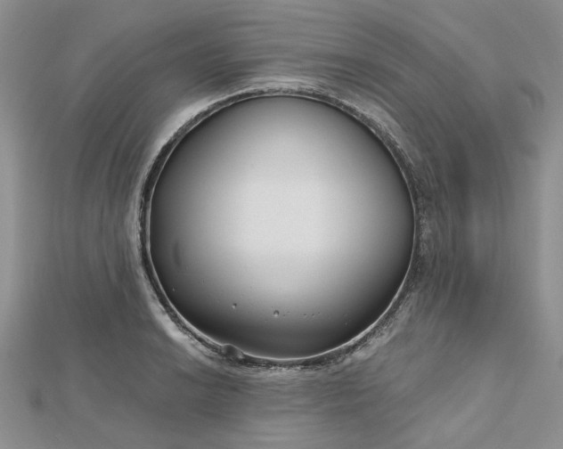 X0000112801038200909041428