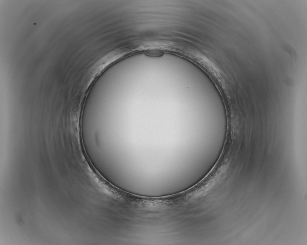 X0000112801041200909041428