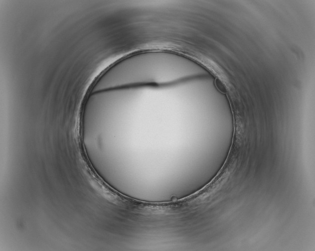 X0000112801044200909041428