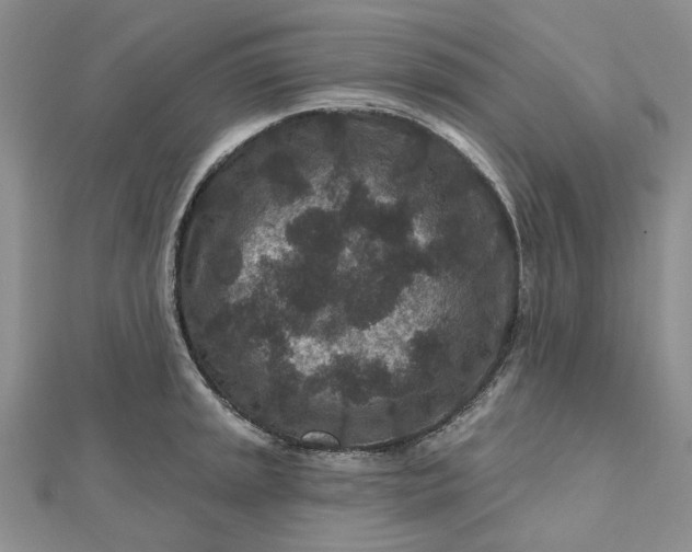 X0000112801045200909041428