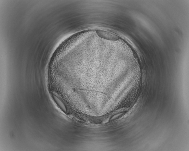 X0000112801048200909041428