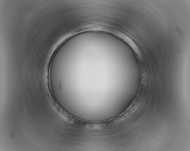 X0000112801051200909041428