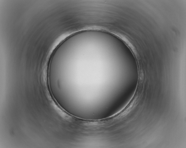 X0000112801054200909041428