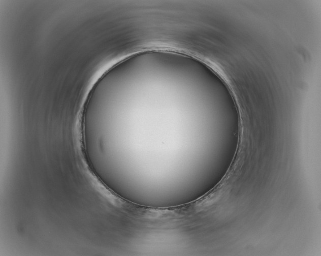 X0000112801056200909041429