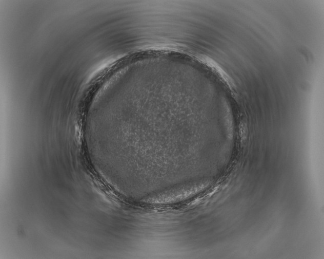 X0000112801064200909041428