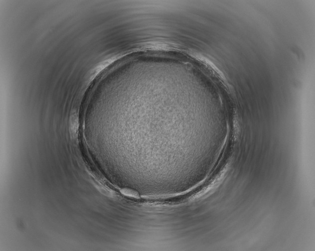 X0000112801065200909041428