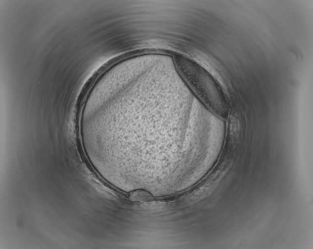 X0000112801068200909041428