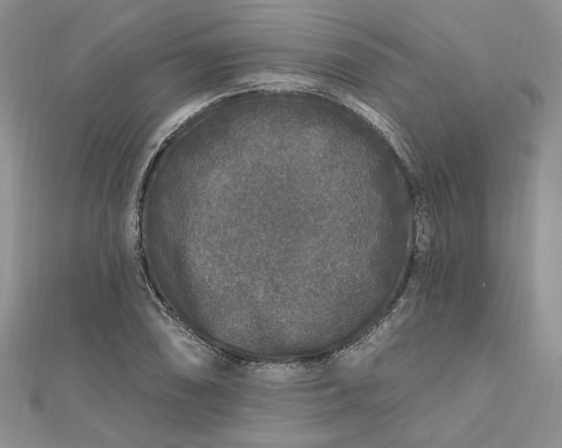 X0000112801074200909041428