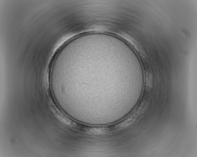 X0000112801078200909041428