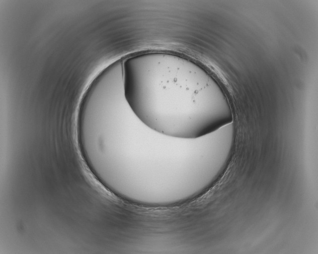 X0000112801080200909041428