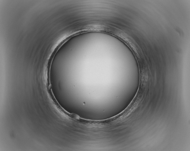 X0000112801083200909041428