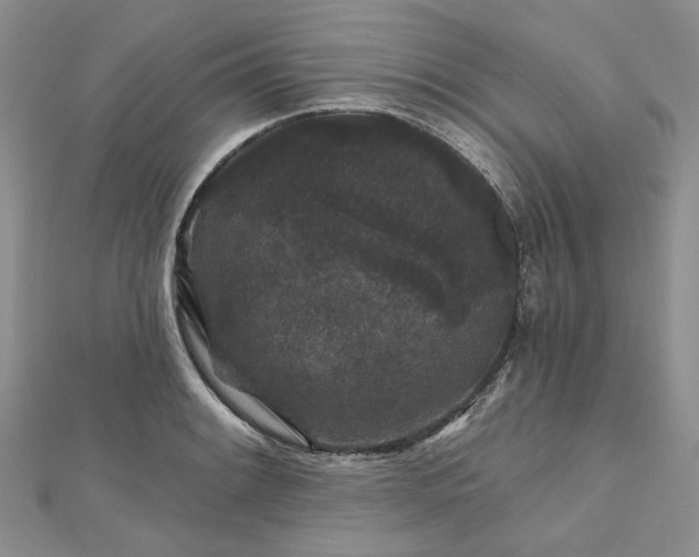 X0000112801084200909041428