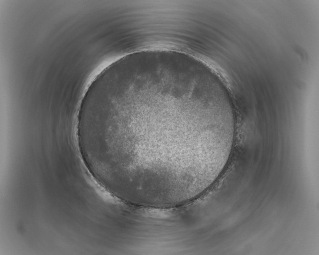 X0000112801086200909041428