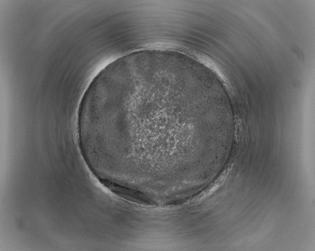 X0000112801087200909041428