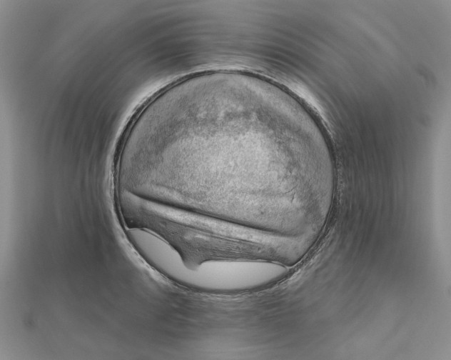 X0000112801088200909041427