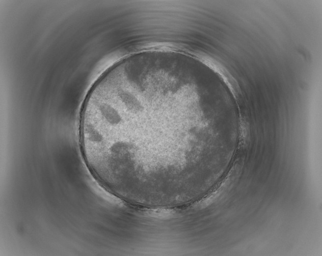 X0000112801090200909041427