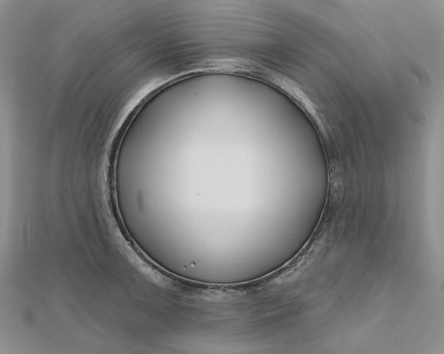 X0000112801091200909041427