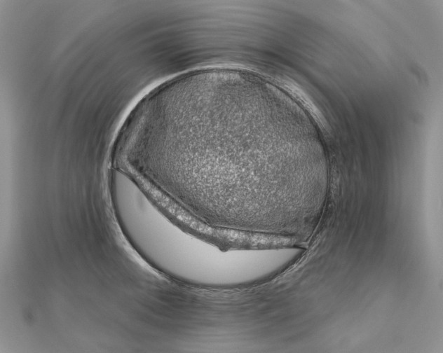X0000112801092200909041427