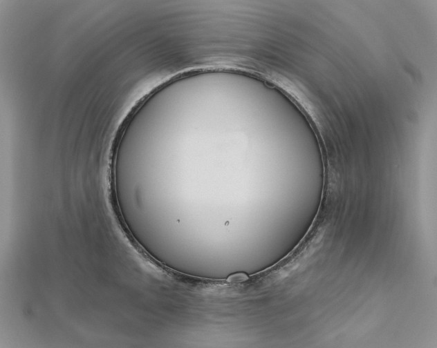 X0000112801093200909041427